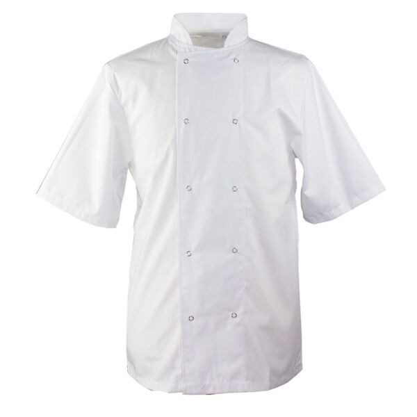 Short Sleeve White Chefs Jacket Thumbnail
